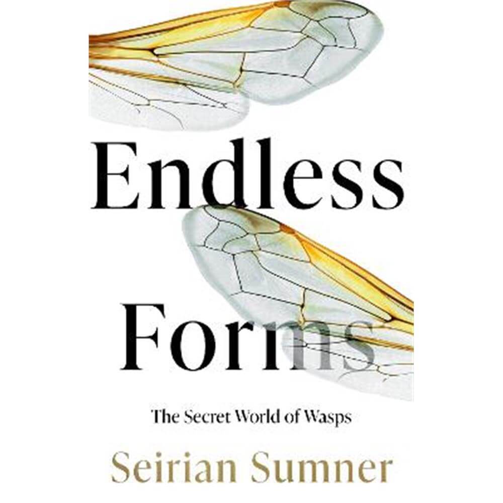 Endless Forms: The Secret World of Wasps (Hardback) - Seirian Sumner